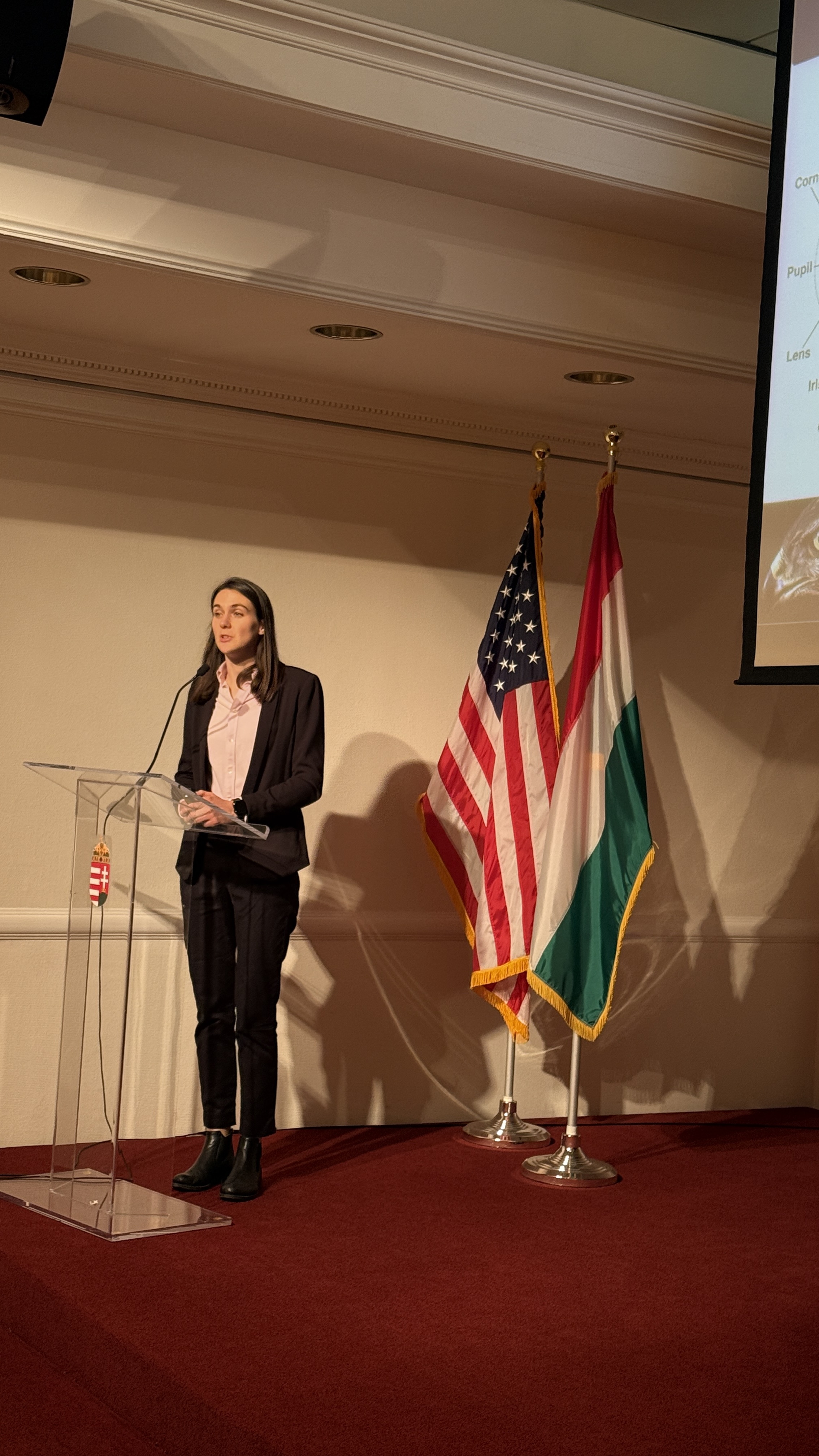 Gene Therapy Vision Research